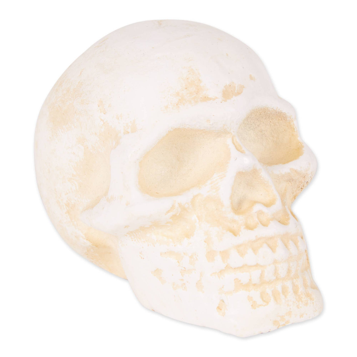 Human Skull Cast Iron Paperweight