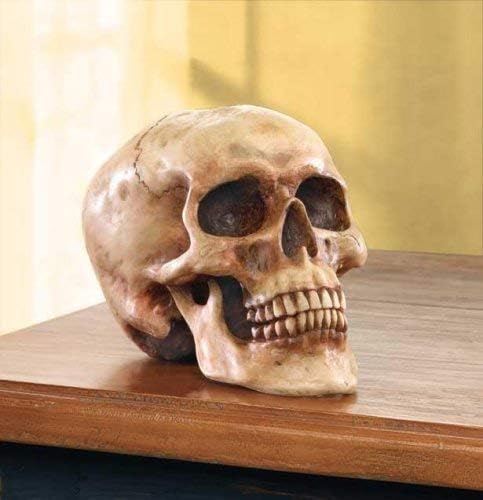 Grinning Highly Realistic Replica Human Skull Statue Home Décor 6.5x4.25x4.6"