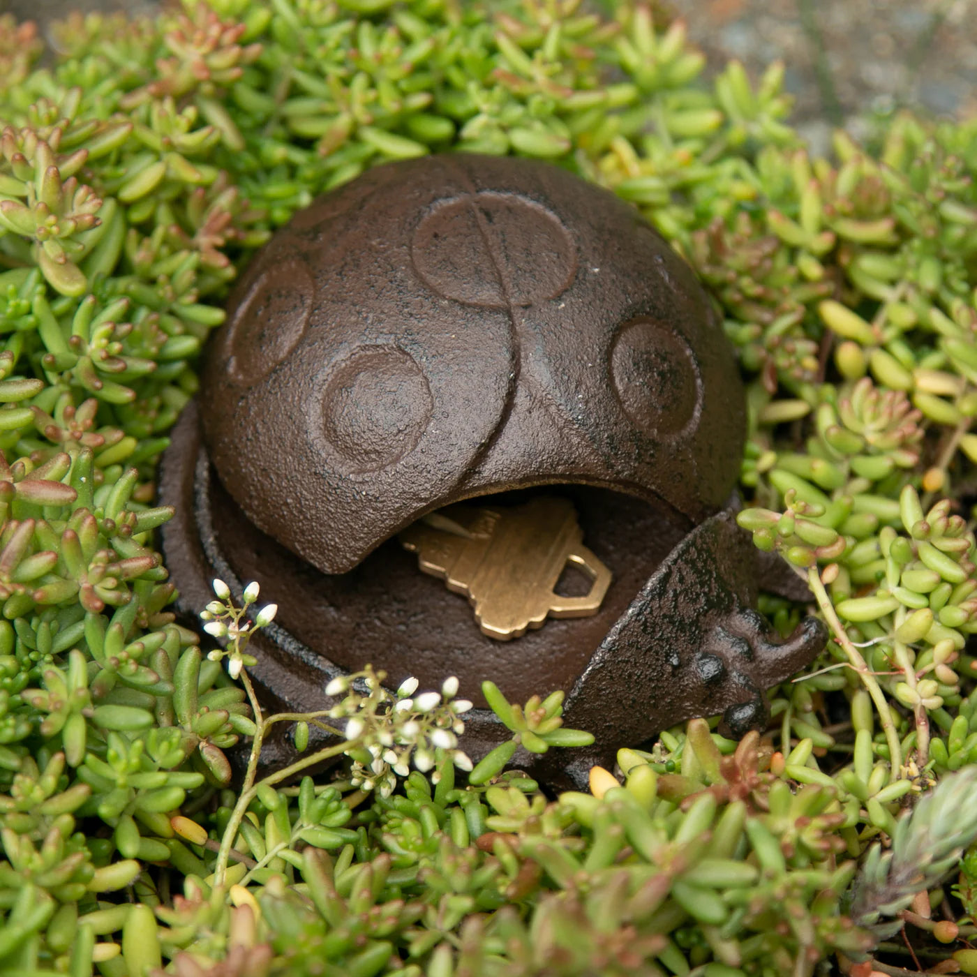 Ladybug Key Hider | Cute & Secure Hidden Storage Solution