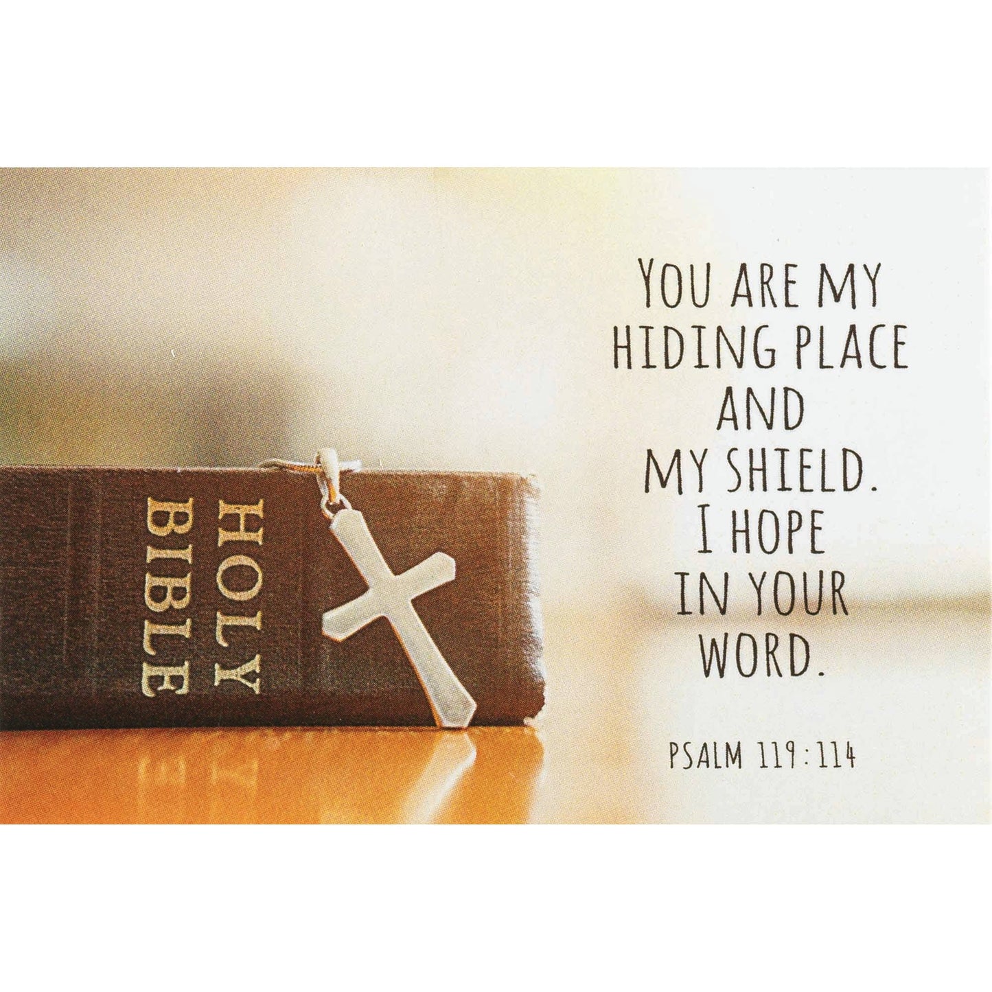 Itty Bitty Blessings You Are My Hiding Place Paper 3x2